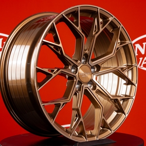 Kuva tuotteesta Forzza Titan Bronze Tinted