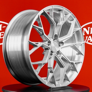 Kuva tuotteesta Forzza Titan Brushed Aluminium