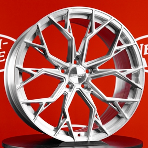 Kuva tuotteesta Forzza Titan Brushed Aluminium