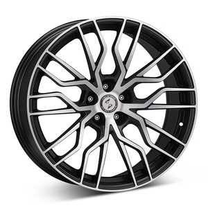 Kuva tuotteesta Eta Beta Medusa G.blk/pol