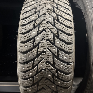 Kuva tuotteesta Nokian Nordman 8