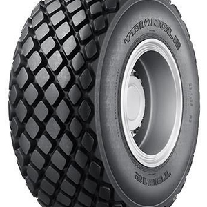 Kuva tuotteesta Triangle Tb812