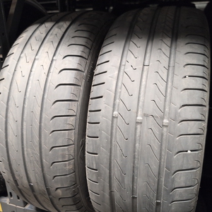 Kuva tuotteesta Gt Radial Champiro Fe1