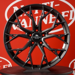 Kuva tuotteesta Forzza Titan Dark Graphite